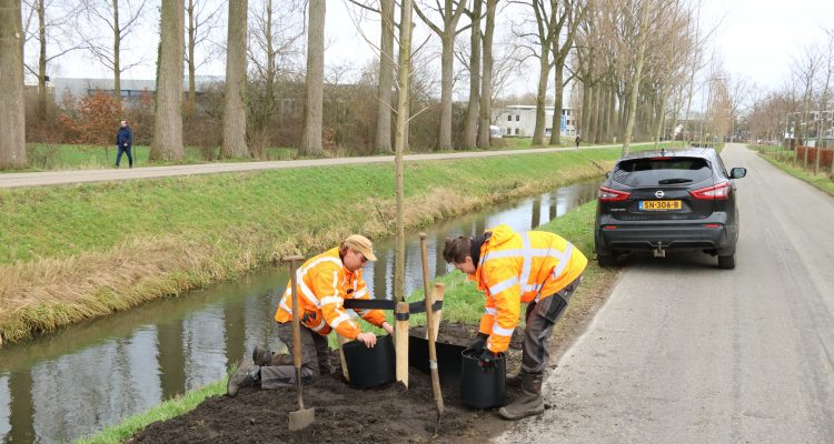 20210120_planten bomen Wageningen mensen