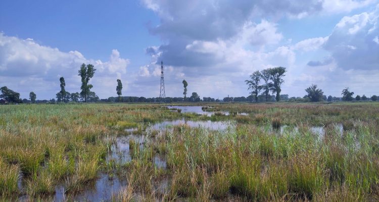 Binnenveld © Thomas kroon