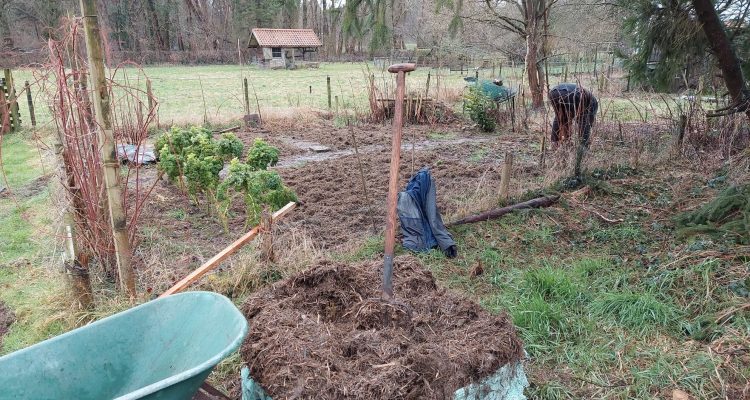 Bokashi in de groentetuin