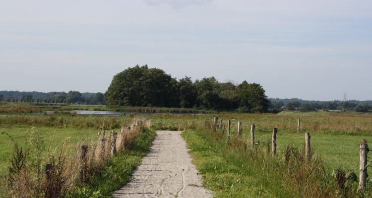De weg naar natuur