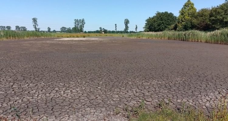 Droogte 3