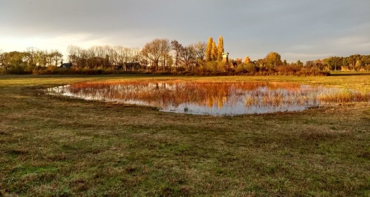 Groene Grens 1