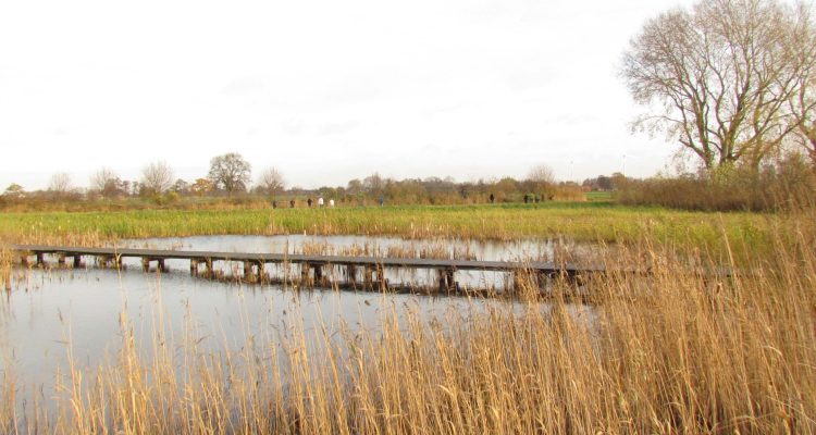 Groene Grens