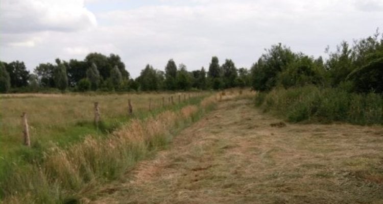 Groene Grens Peter