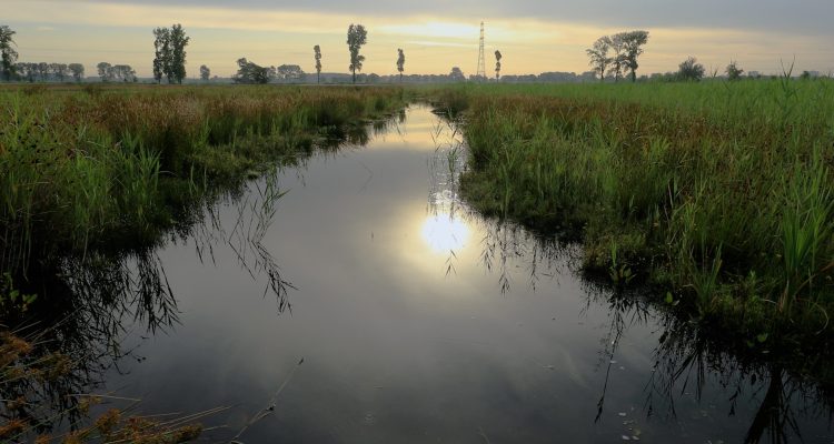 Hooiland_2023_veenstroompje