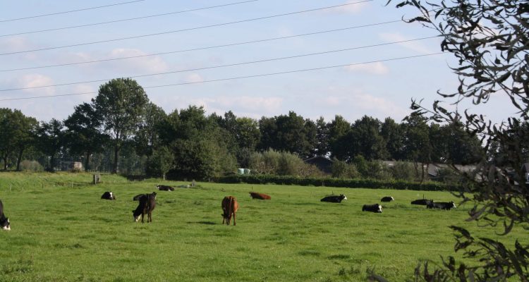 Hooilanden ©Heemskerk