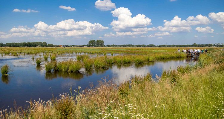 Kromme Eem in de Binnenveldse Hooilanden kl © ICRA, 2022