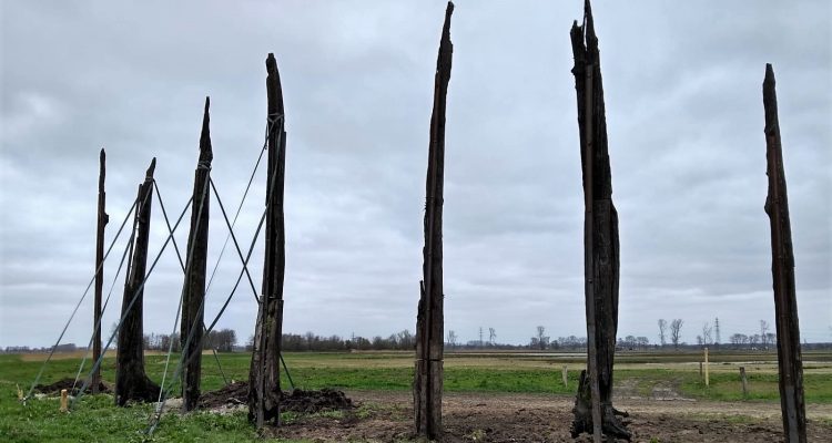 Kunstwerk in aanleg