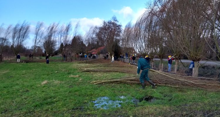Natuurwerkdag 2
