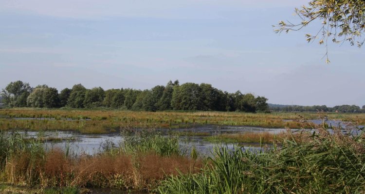 Veenkampen