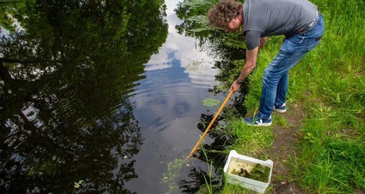 Monstername Foto Natuur en Milieu