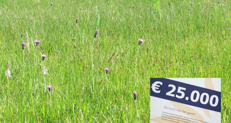 beeld blauwgrasland met de kunst van het geven