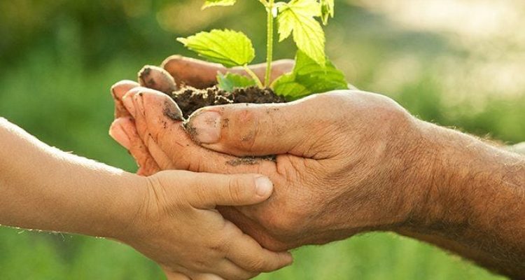 samen voor groen