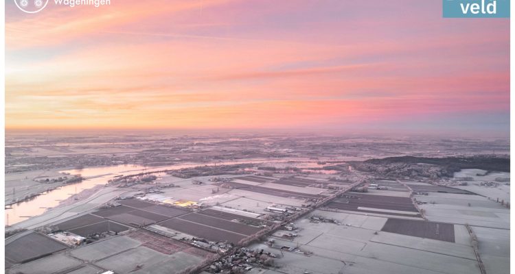 binnenveld_kerstgroet2-002