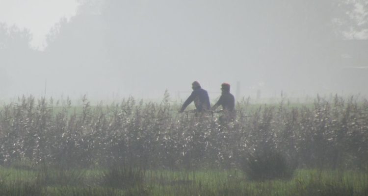 fietsers2-binnenveld