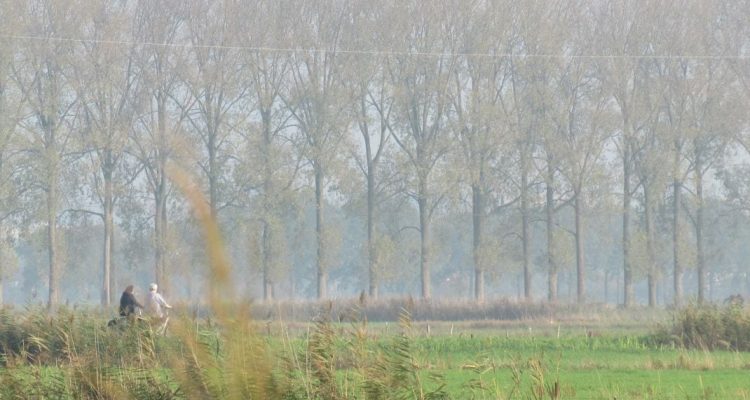 fietsers2-4kant-15bij15