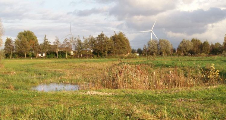 groenegrens1.-lrjpg