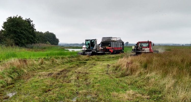 maaien binnenveld 2