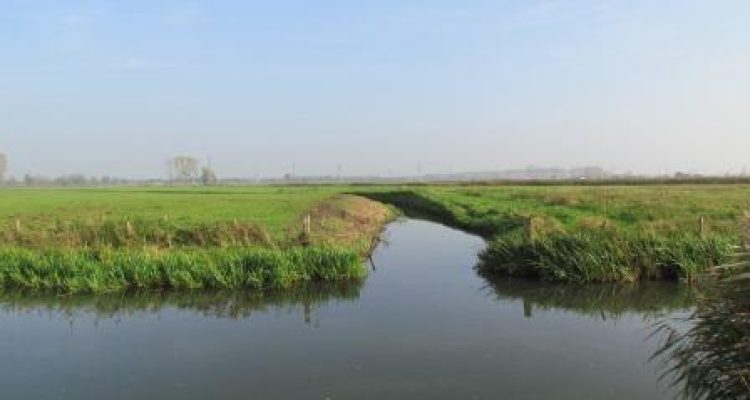 Restant van oude oeverwal Kromme Eem