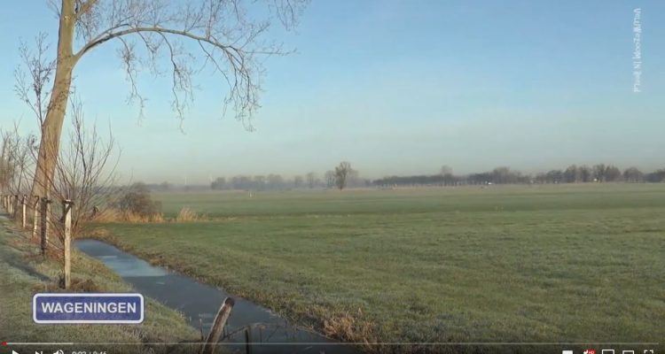 screenshot-video-cameraclub