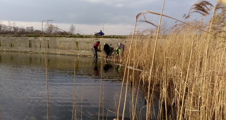 zwaluwwand-groenegrens-3
