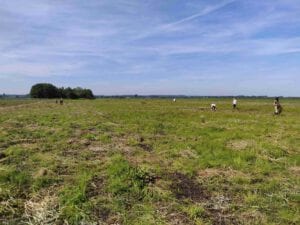 veldwerk in Binnenveldse Hooilanden